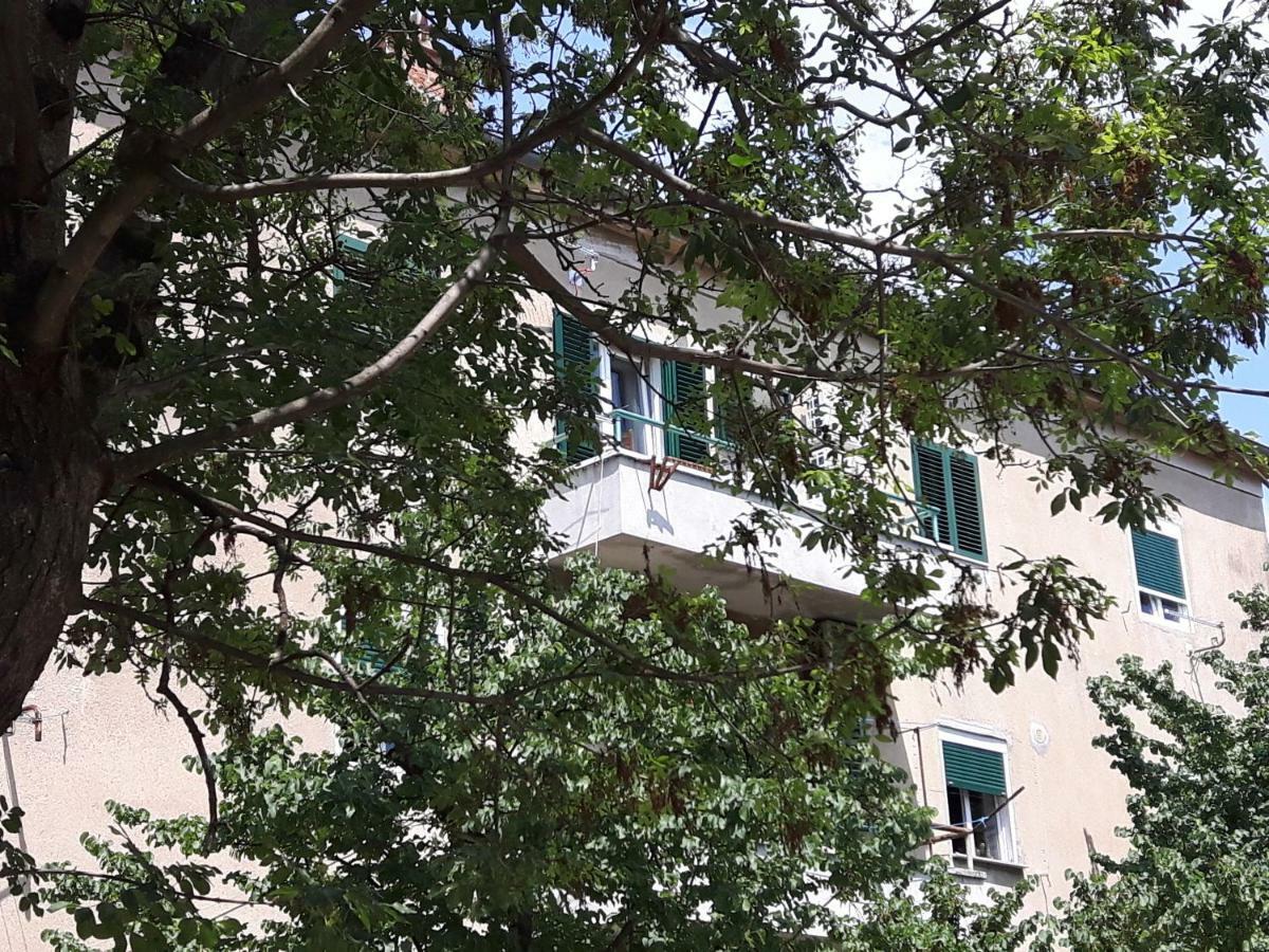 Apartment Sunny Place Zadar Dış mekan fotoğraf